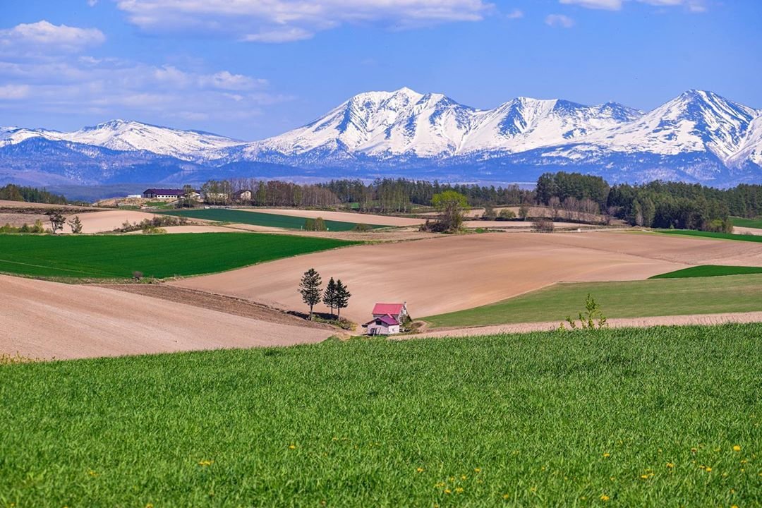 🏞️ 신에이 언덕 전망공원(신에이노오카 텐보코엔) 이미지 7